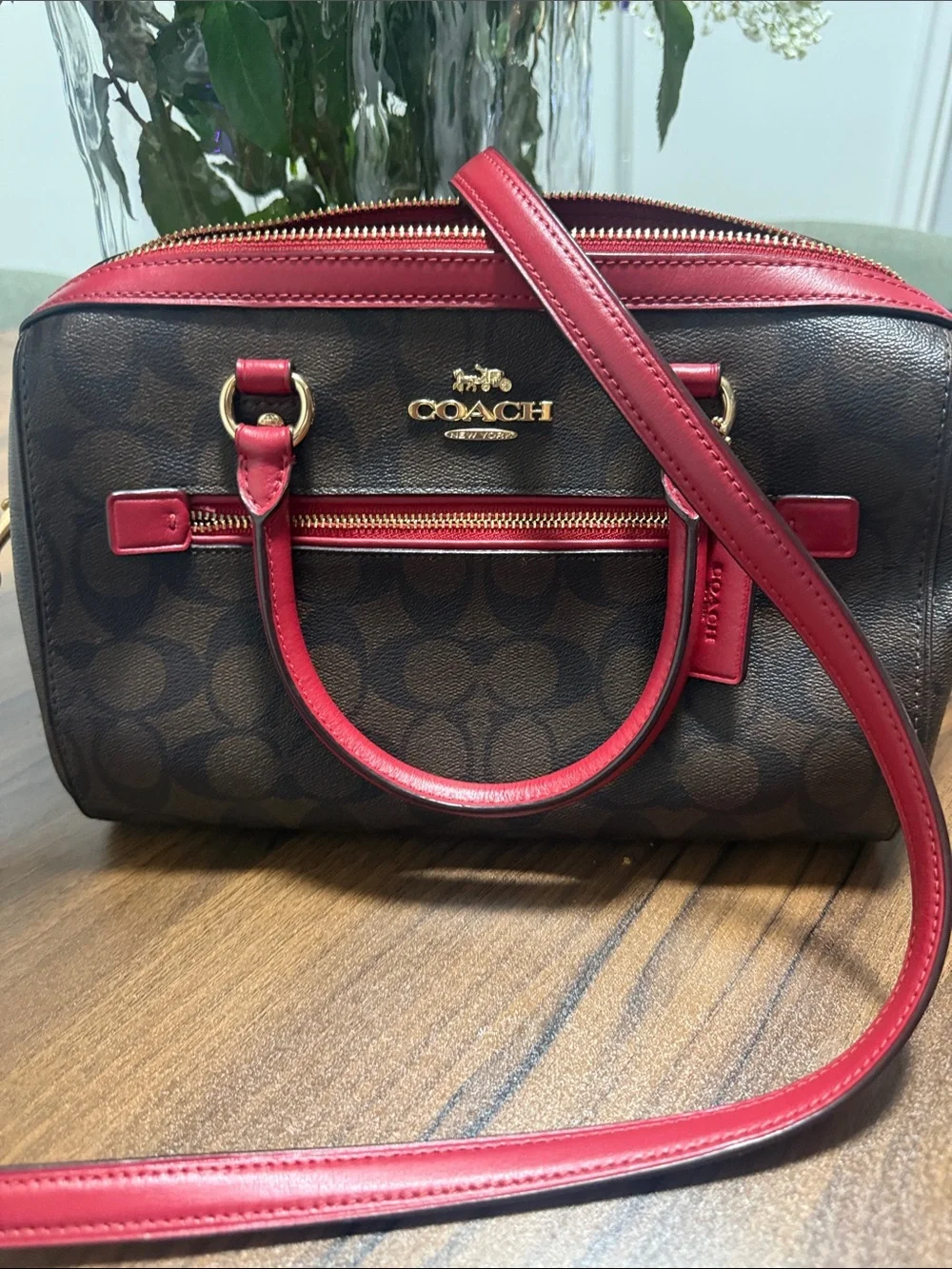 Coach Rowan Satchel signature canvas